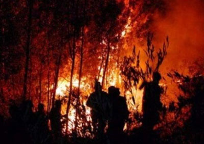 1628_Taller-incendios-forestales