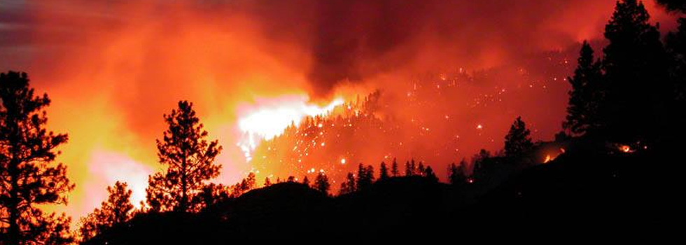 Bomberos contienen incendio en Río Negro