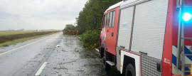 Los bomberos voluntarios presentes en las rutas argentinas