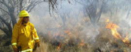 Alerta Amarilla por Incendios Forestales en La Pampa