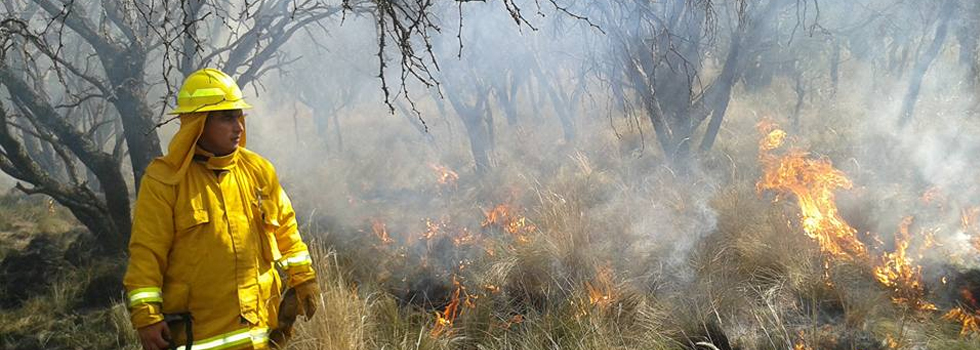 Alerta Amarilla por Incendios Forestales en La Pampa