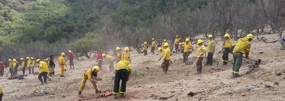 La emergencia forestal de Chile llega a su fin