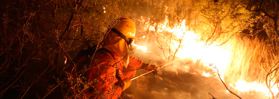 Incendios Forestales en la región: respuesta del SNBV