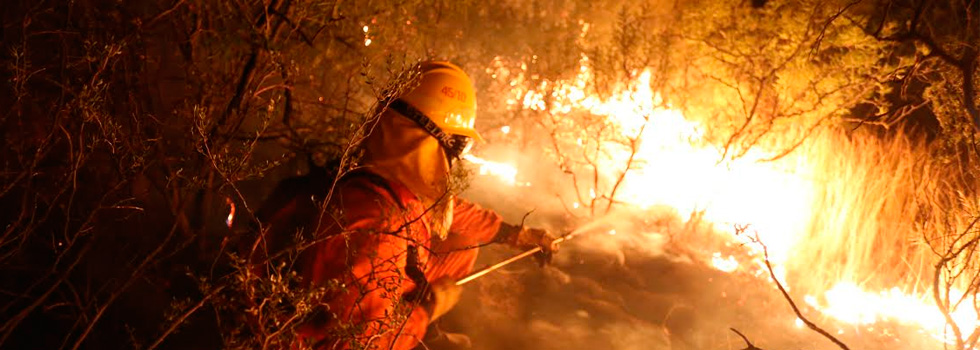 Incendios Forestales en la región: respuesta del SNBV Incendios Forestales en la región: respuesta del SNBV