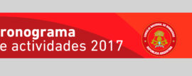 CRONOGRAMA GENERAL DE ACTIVIDADES 2017