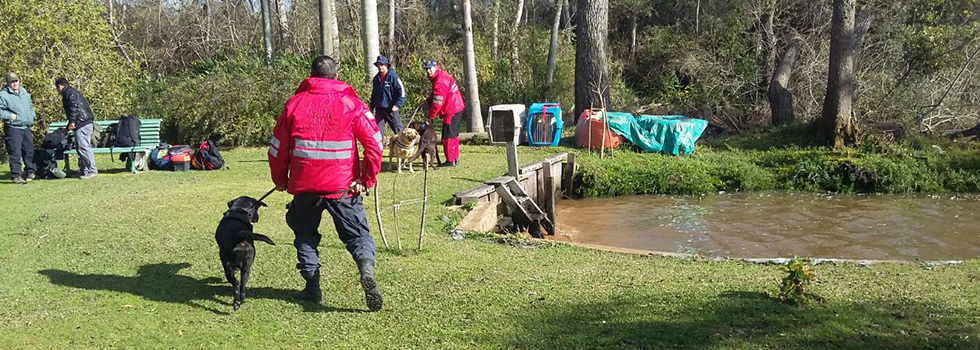 Bomberos Voluntarios colaboran en la búsqueda de Georgina y Thiago Díaz