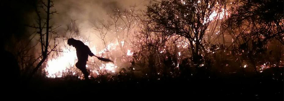 Bomberos Voluntarios combatieron durante una semana el fuego en las Sierras de Córdoba