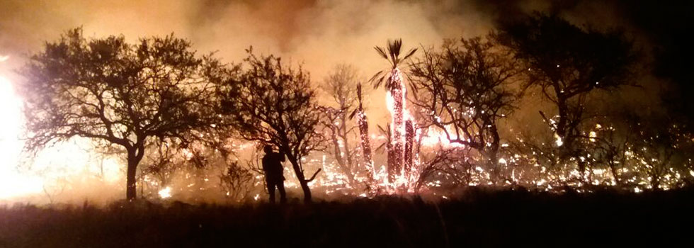Intervención de la Brigada Nacional de Incendios Forestales en Córdoba