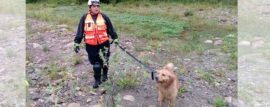 Bomberos voluntarios colaboran en la búsqueda de Constanza Gala Cancinos