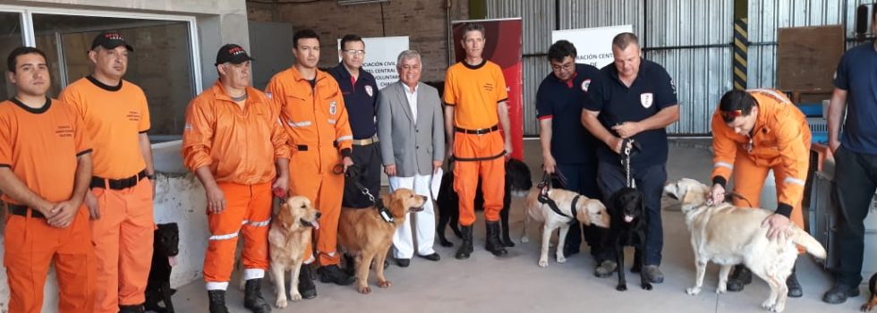 Las Brigadas K9 trabajan en un operativo de búsqueda en Chaco