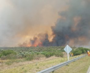 Incendios Forestales en San Luis