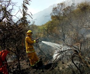 Más de 200 bomberos combatieron el fuego en Córdoba