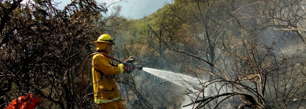 Más de 200 bomberos combatieron el fuego en Córdoba