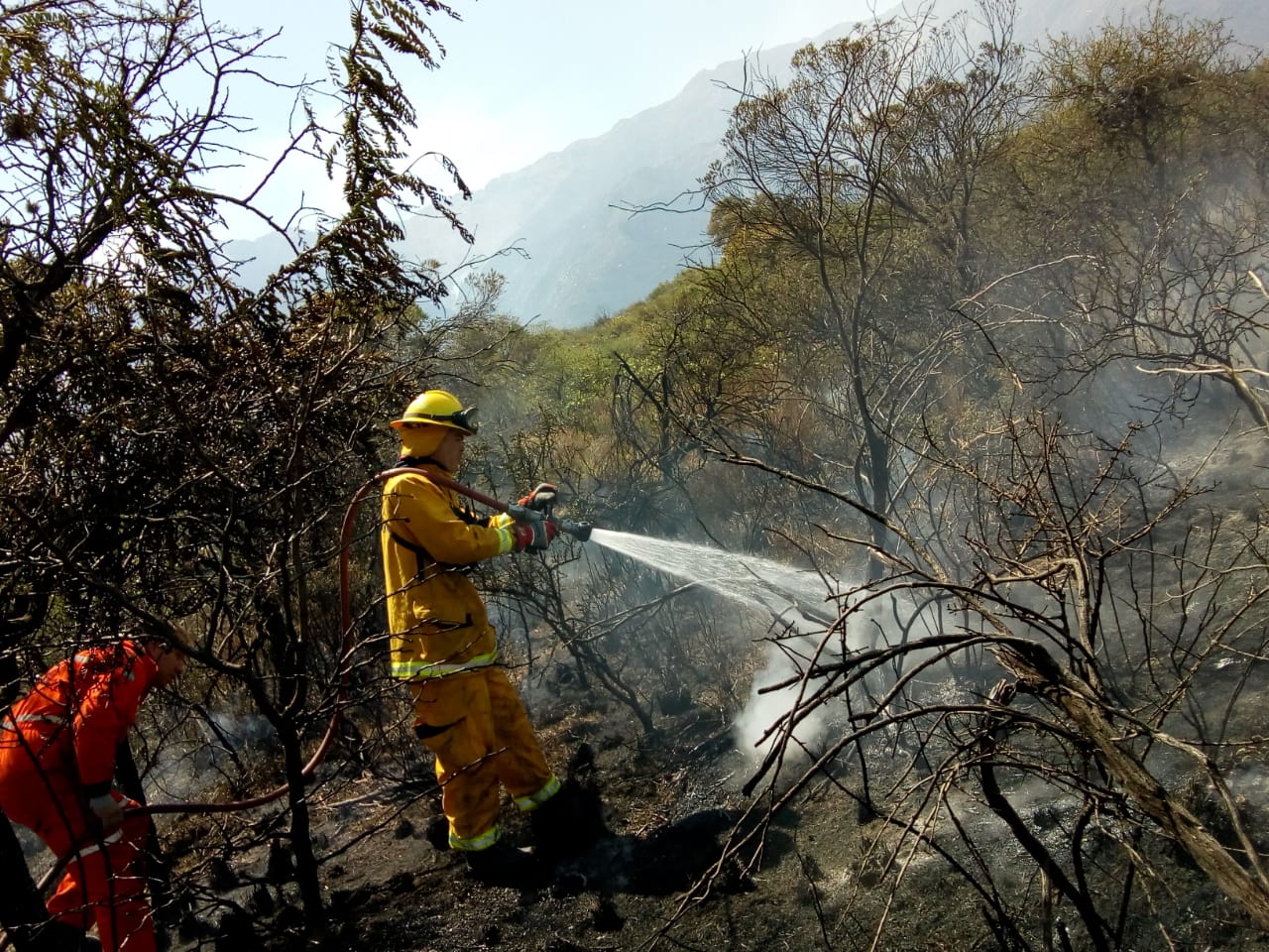 Más de 200 bomberos combatieron el fuego en Córdoba Más de 200 bomberos combatieron el fuego en Córdoba