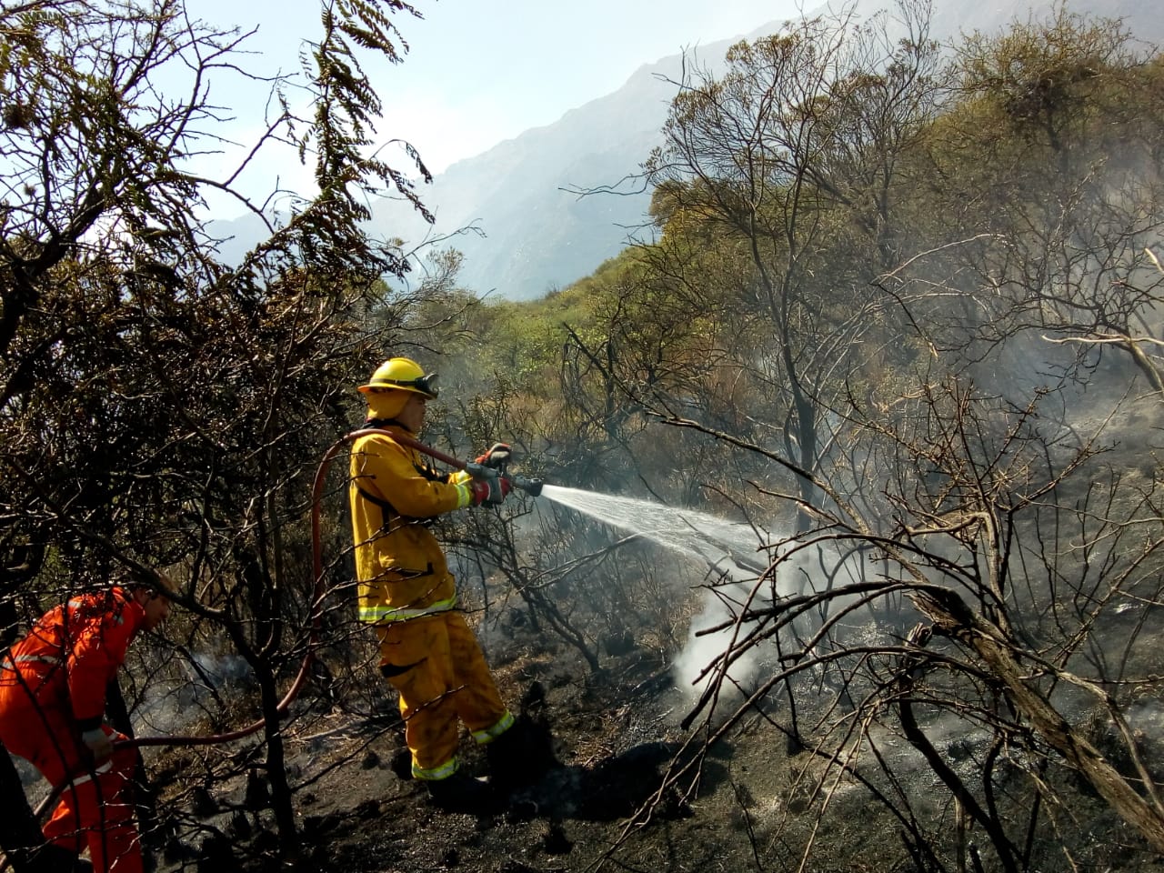 Más de 200 bomberos combatieron el fuego en Córdoba