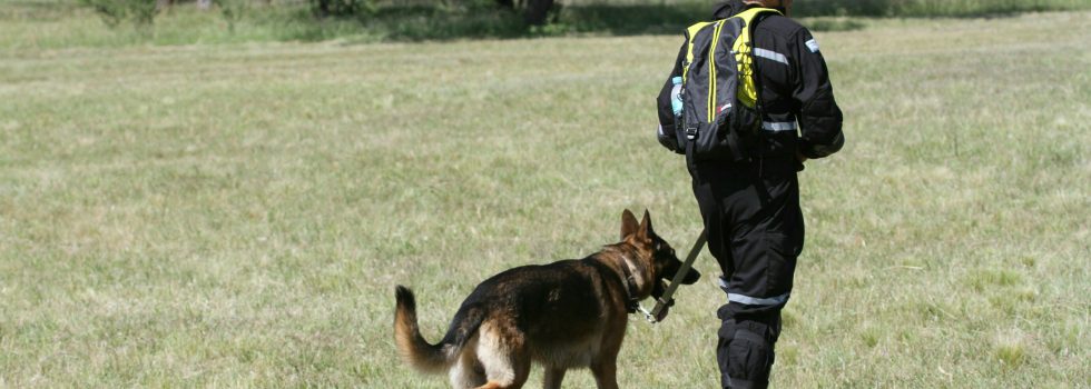 Bomberos activan operativo de búsqueda con Brigadas K9