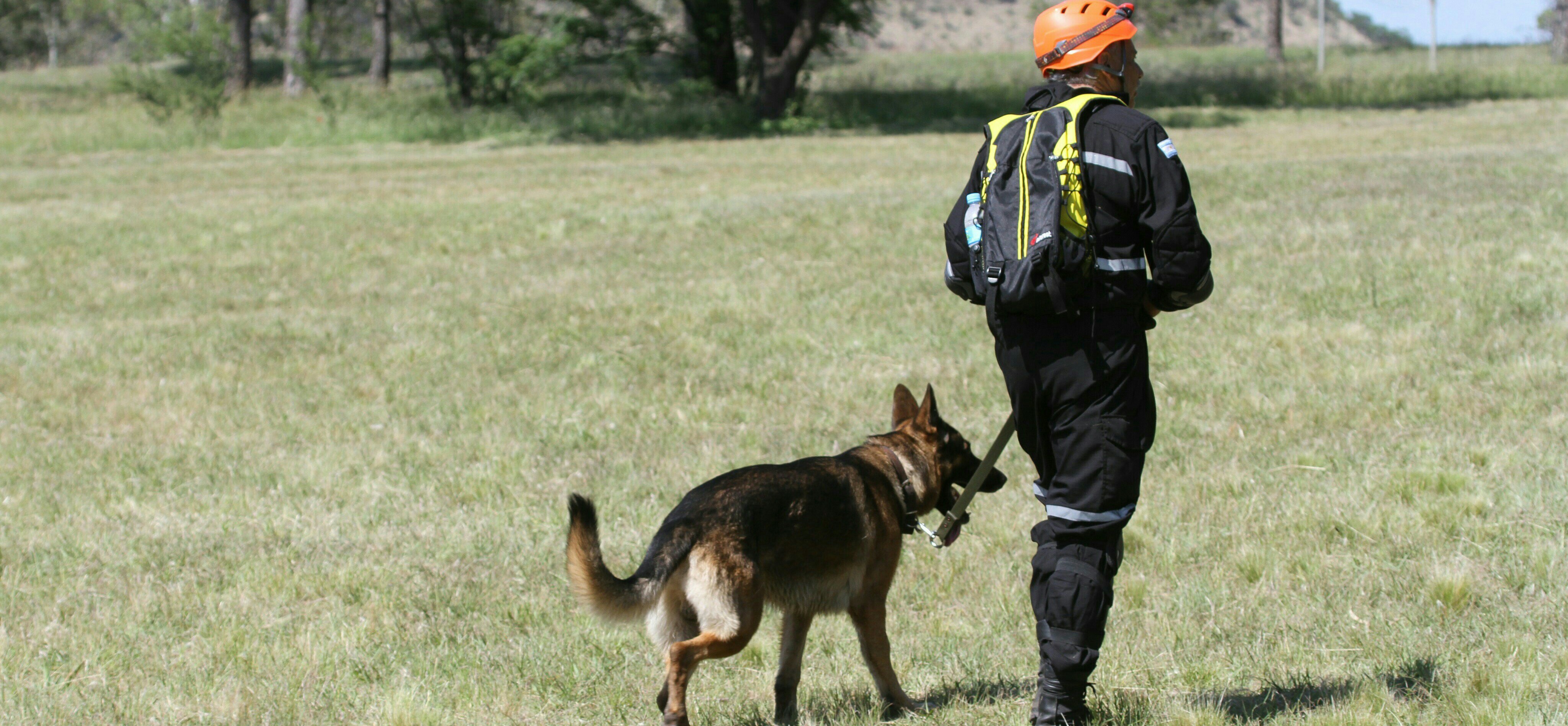 Bomberos activan operativo de búsqueda con Brigadas K9