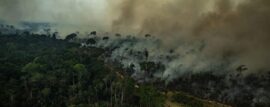 6OO Bomberos Voluntarios listos para viajar al Amazonas