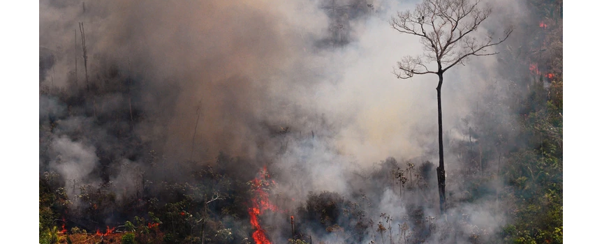 Bomberos Voluntarios parten al Amazonas