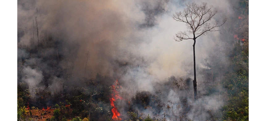 Bomberos Voluntarios parten al Amazonas Bomberos Voluntarios parten al Amazonas