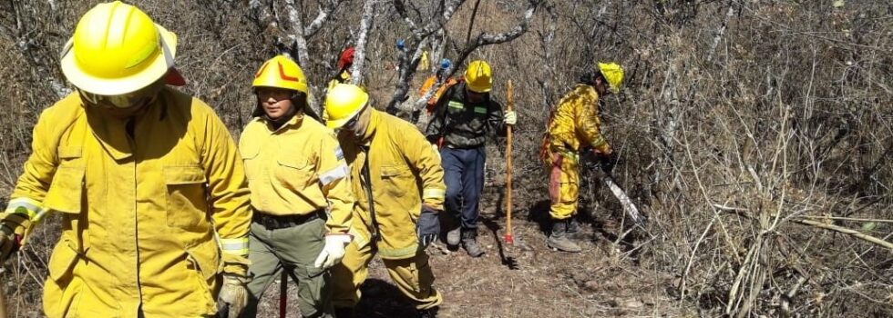 El gobierno informó que no viajarán Bomberos Voluntarios al Amazonas