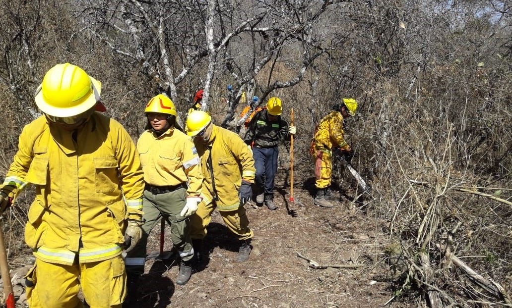 El gobierno informó que no viajarán Bomberos Voluntarios al Amazonas