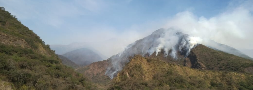 Incendios Forestales de Alta Montaña en Salta y Tucumán Incendios Forestales de Alta Montaña en Salta y Tucumán