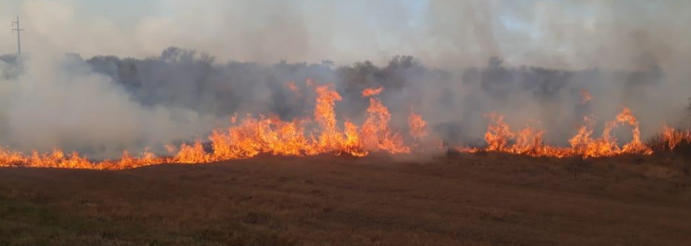 Incendios en las Islas del Delta