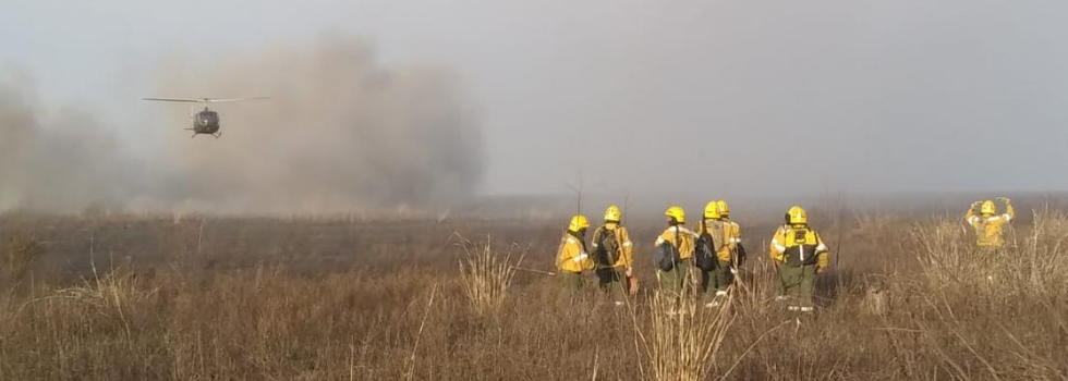 Nuevos Focos de Incendios Forestales en el Delta del Paraná Nuevos Focos de Incendios Forestales en el Delta del Paraná
