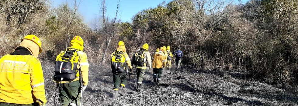 Incendios Forestales en Entre Ríos