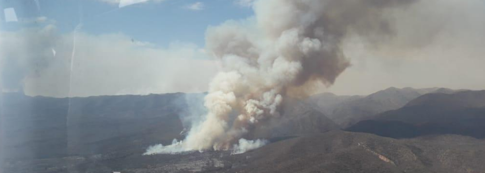 Córdoba: Bomberos Voluntarios combaten sin Tregua Incendios Forestales