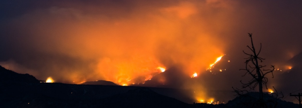Bomberos Combaten Incendio Forestal en El Bolsón