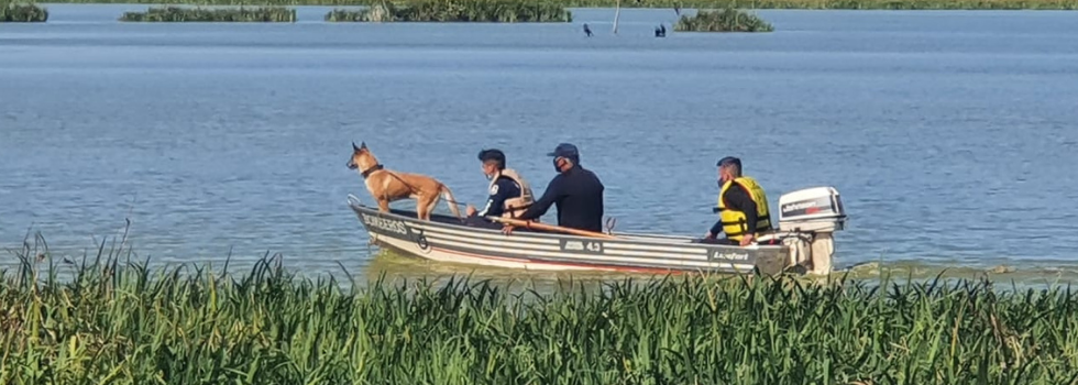 Brigadas Caninas participaron durante 3 días de un Operativo de Búsqueda en Bernal