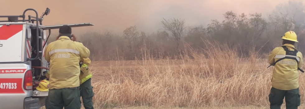 Bomberos combaten incendios forestales en diferentes puntos del país