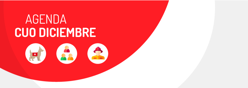 CUO: actividades de diciembre