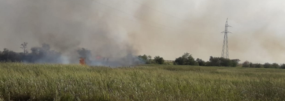 Incendios Forestales en Corrientes