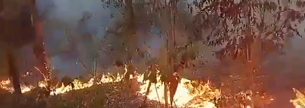 Incendios en Corrientes: el SNBV en Alerta Roja