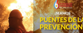 “Puentes de la Prevención”, la campaña oficial que acompaña el SNBV
