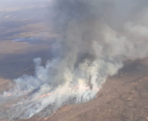 Continúa el combate de incendios forestales en el Delta del Paraná