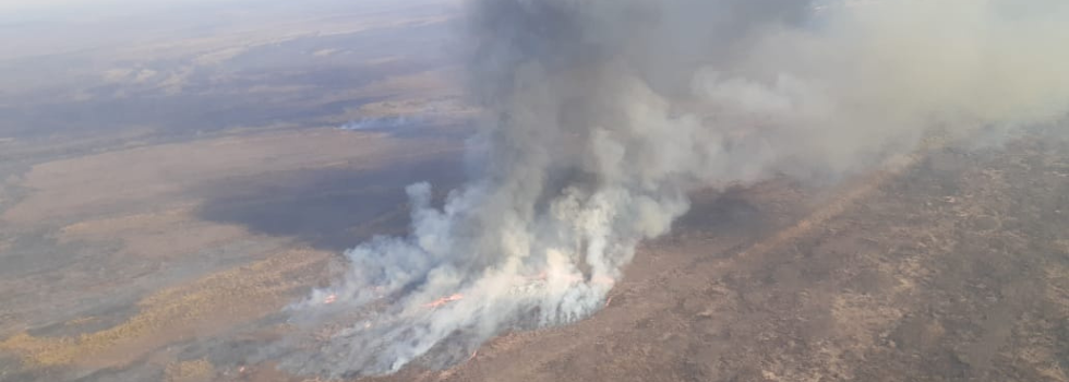 Continúa el combate de incendios forestales en el Delta del Paraná