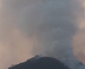 CUO: Incendios Forestales en Salta