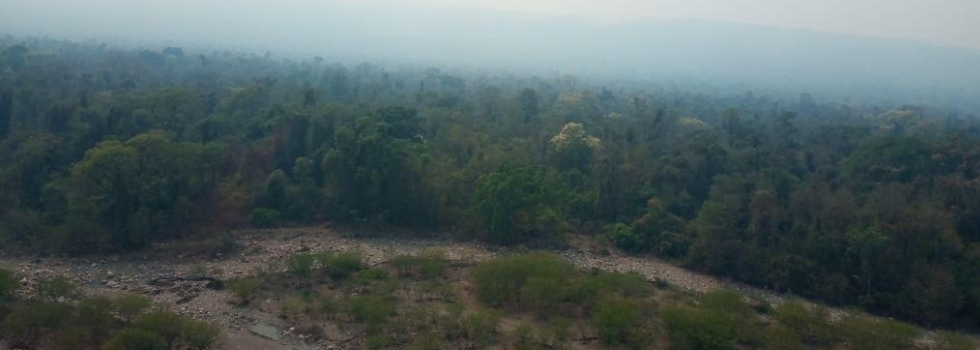 Incendios Forestales en Salta: continúa el arduo trabajo de los bomberos voluntarios