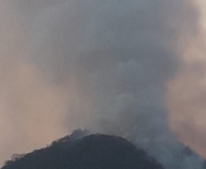 Incendios Forestales en Salta: los focos que combatieron los bomberos voluntarios fueron extinguidos
