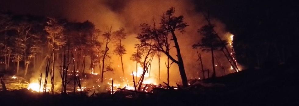 Bomberos Voluntarios en Alerta Amarilla por los Incendios Forestales en Santa Cruz y Tierra del Fuego
