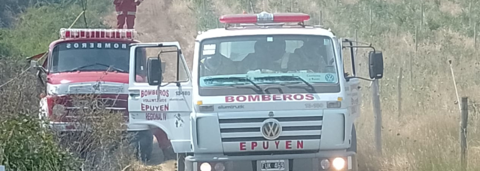 Todo lo que tenés que saber para prevenir incendios forestales