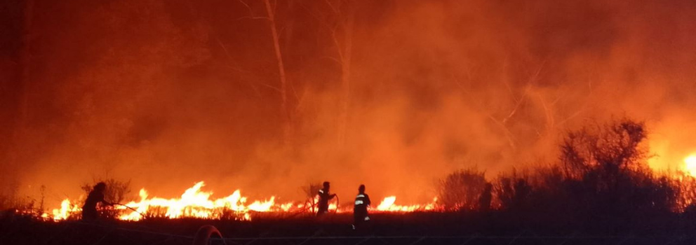 Incendios Forestales en Entre Ríos