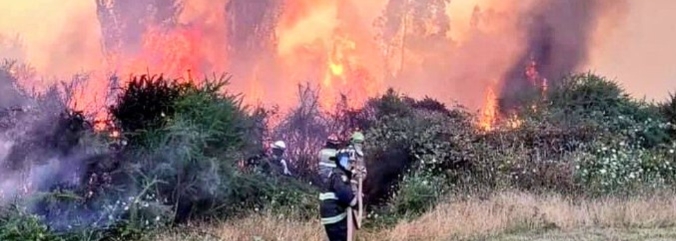 El SNBV en Alerta Amarilla