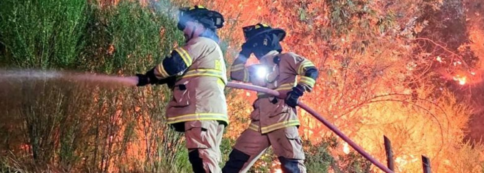 El SNBV se encuentra en apresto para colaborar con los Incendios Forestales en Chile