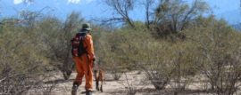 CUO: la Brigada Nacional Canina realiza búsqueda en La Rioja