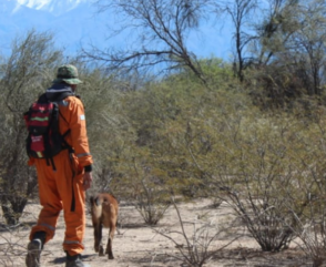 CUO: la Brigada Nacional Canina realiza búsqueda en La Rioja